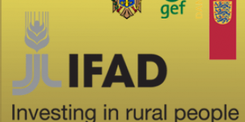 Oferta financiară de promovare a granturilor tinerilor antreprenori