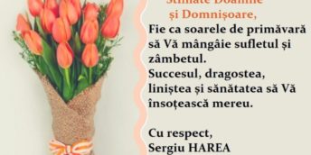 Stimate Doamne și Domnișoare