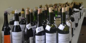 S-a desfășurat etapa republicană a Concursului pentru cel mai bun vin de casă ”Polobocul de aur”