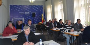 30 de reprezentanți de la companiile autohtone participa la un atelier de lucru în domeniul eficienței energetice