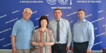 Colaboratorii CCI și-au felicitat fosta colegă cu ocazia zilei de naștere