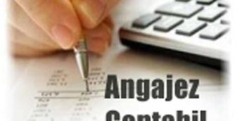 Angajăm Contabil, Direcţia finanţe şi evidenţă contabilă