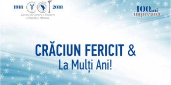 Crăciun Fericit și La Mulți Ani!