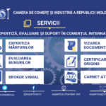 BASNER SITE SERVICII (2)