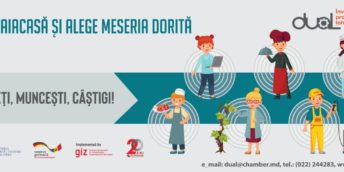 Dual education