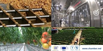 Eveniment în cadrul expoziției ”Essentially Greek” products Virtual Matchmaking