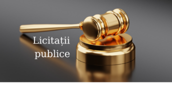 Desfășurarea licitațiilor publice cu strigare
