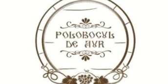 CCI a RM este în căutarea celor mai buni producători de vin de casă