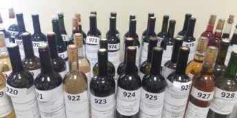La Chișinău s-a desfășurat etapa republicană a concursului “Polobocul de aur”