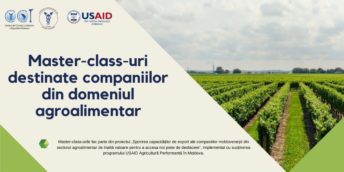 CCI a RM a organizat primul master-class destinat companiilor din domeniul agroalimentar