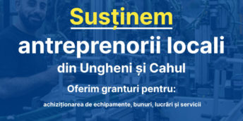 CCI a RM extinde termenul de participare la licitația publică privind achiziționarea bovinelor de rasa pentru producerea laptelui