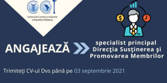 CCI a RM angajează specialist principal Direcţia susţinerea şi promovarea membrilor Camerei