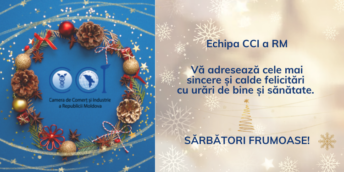 SĂRBĂTORI FRUMOASE!