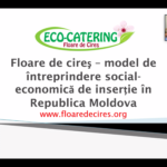 Captură de ecran din 2022-07-29 la 10.44.37