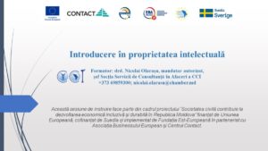 Introducere în proprietatea intelectuală
