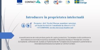 15 organizații sociale vor primi Consultanță din partea echipei CCI a RM