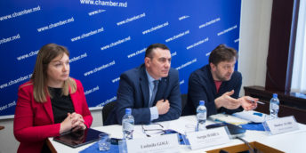 Problemele antreprenorilor autohtoni discutate cu Ministrul Economiei Dumitru ALAIBA