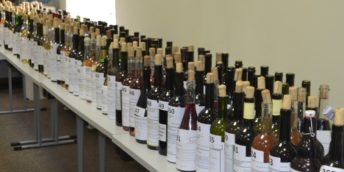 La Chișinău s-a desfășurat etapa republicană a  concursului “Polobocul de aur”