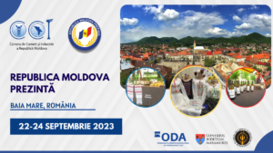 Baia mare