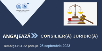 CCI a RM angajează Consilier(ă) juridic(ă)