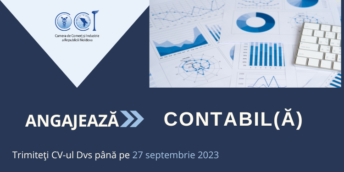 CCI a RM angajează Contabil(ă)