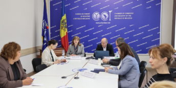CCI a RM și Biroul Național de Statistică consolidează eforturile pentru optimizarea procesului de raportare statistică
