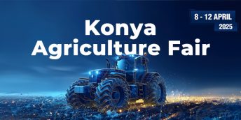 Programul internațional „Misiunea Cumpărătorului”, Konya (Turcia)